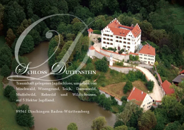 Schloss Duttenstein Expertise